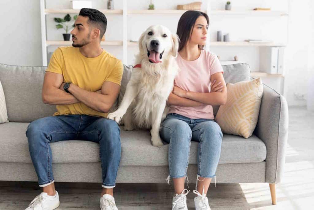 cane litigio famiglia.jpg