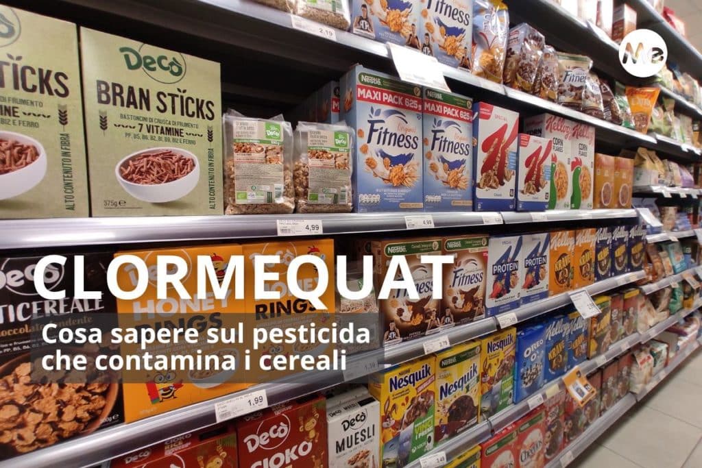 cereali.jpg