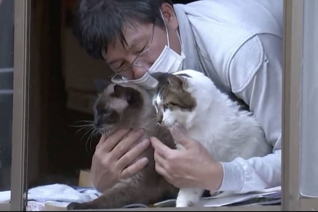 cover fukushima uomo gatti.jpg