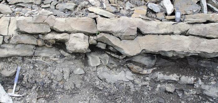 dinosaur tracks m.jpeg