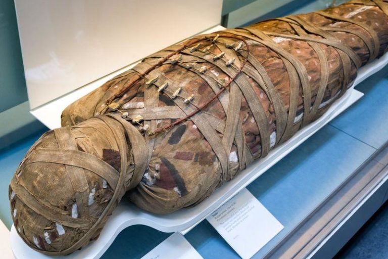 egyptian mummies parasites m.jpg