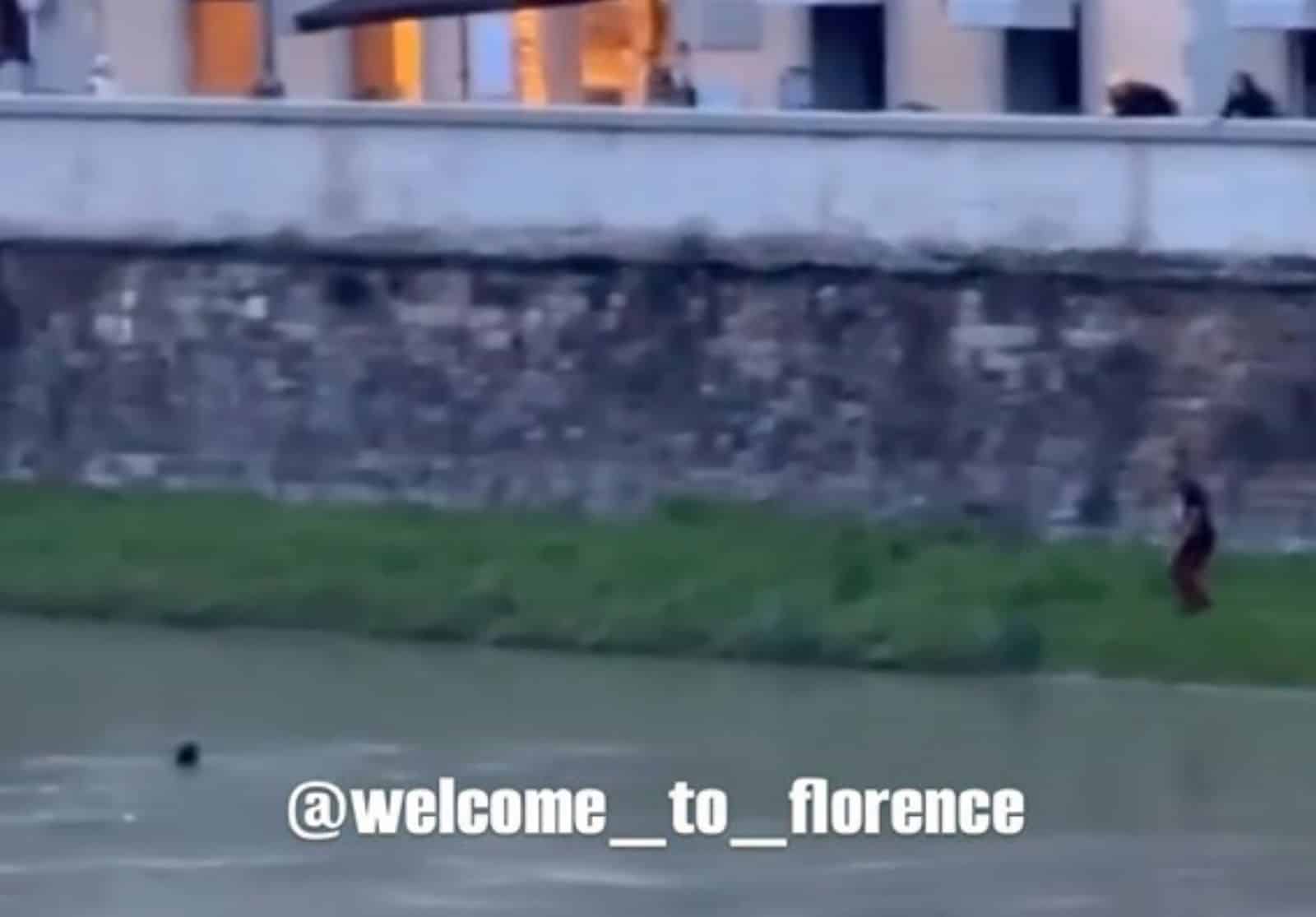 firenze studentessa arno salvataggio.jpg