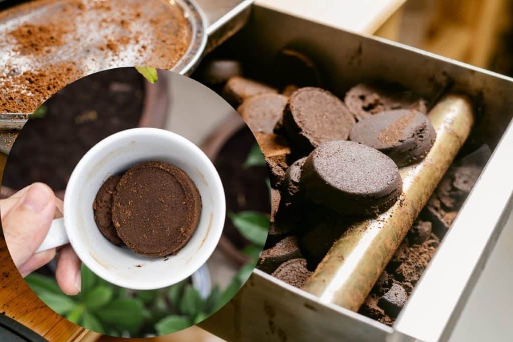 fondi caffe acque.jpg