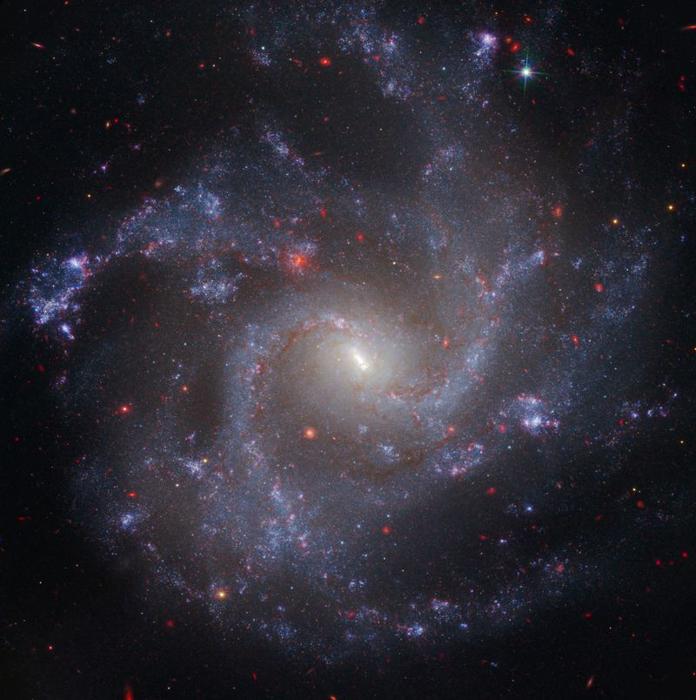 galaxy m.jpg