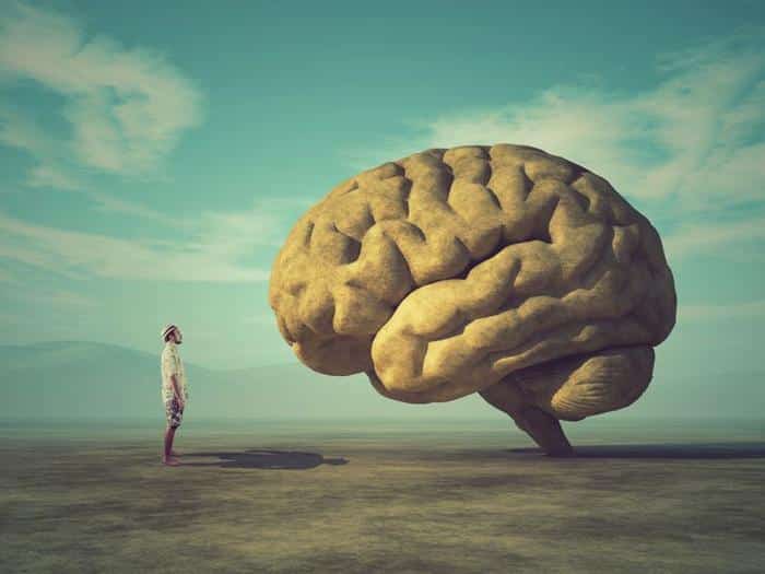 human brains getting bigger m.jpg