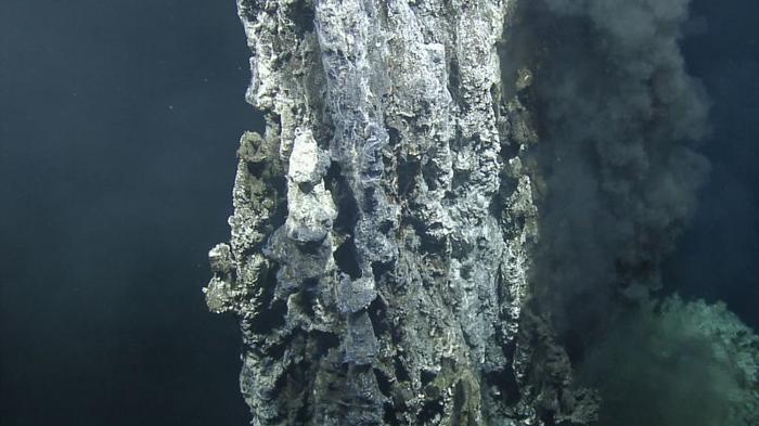 hydrothermal m.jpeg
