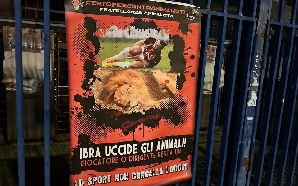 «Uccide gli animali»: la protesta contro Ibrahimovic a Verona 1 ibrahimovic protesta animalisti verona.jpeg