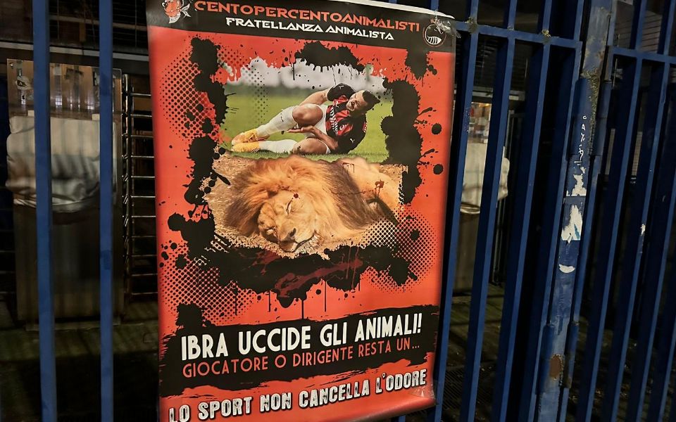 ibrahimovic protesta animalisti verona.jpeg