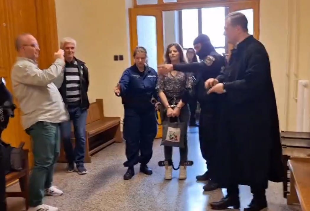 Ilaria Salis ancora in manette e catene all’arrivo al tribunale di Budapest. Gli amici minacciati da estremisti di destra – Il video 1 ilaria salis budapest manette catene.jpg