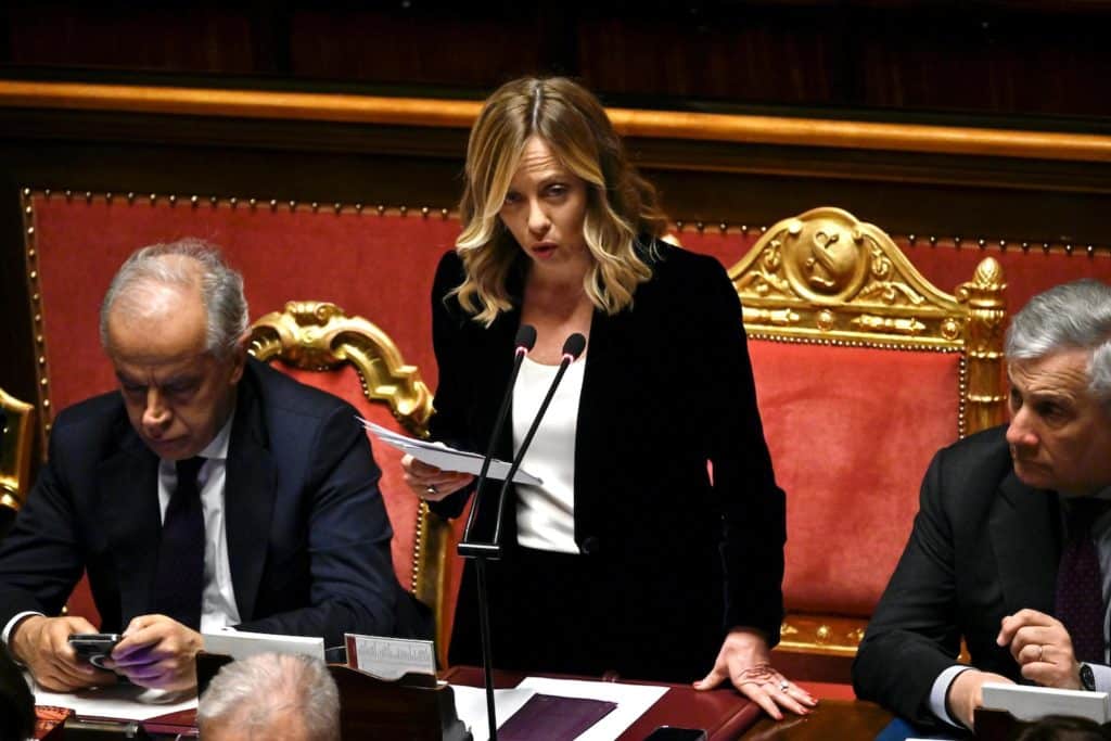 meloni senato.jpeg