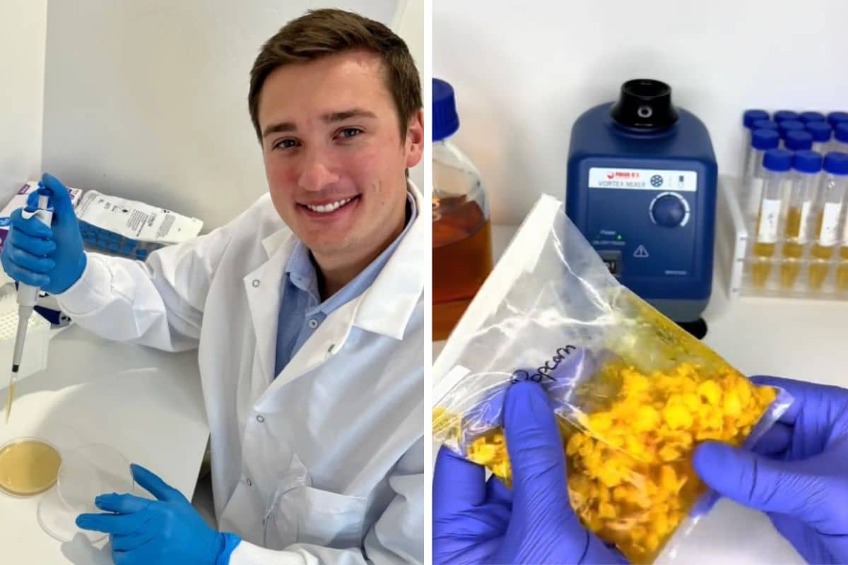 Sono un microbiologo e ti mostro cosa c’è sui popcorn che trovi per terra al cinema 1 microbiologo analisi popcorn.jpg