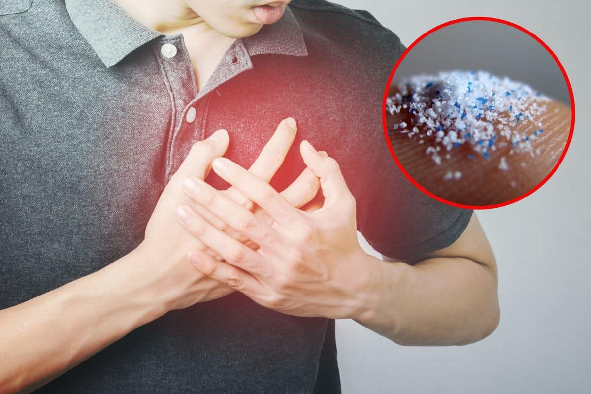 Microplastiche: pericolose anche per il cuore, questo studio tutto italiano è il primo a dimostrarlo 1 microplastiche salute cuore.jpg