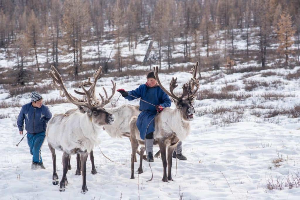 mongolia.jpg