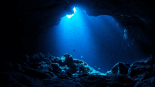 ocean floor m 300x169 1 500x281.png