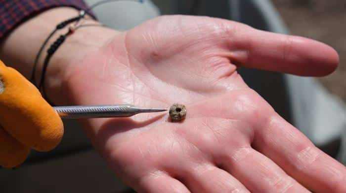 oldest piercing m.jpg