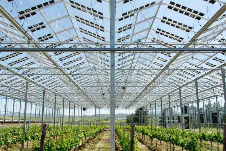 pannelli solari agrivoltaici bifacciali.jpg