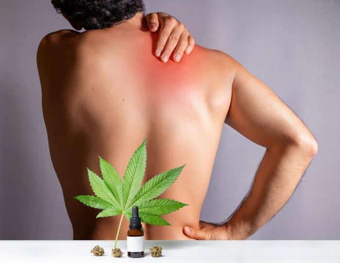 person with their bare back facing a white wall holding their red shoulder in front of them is a table with a tincture bottle a cannabis leaf and cannabis buds m.jpg