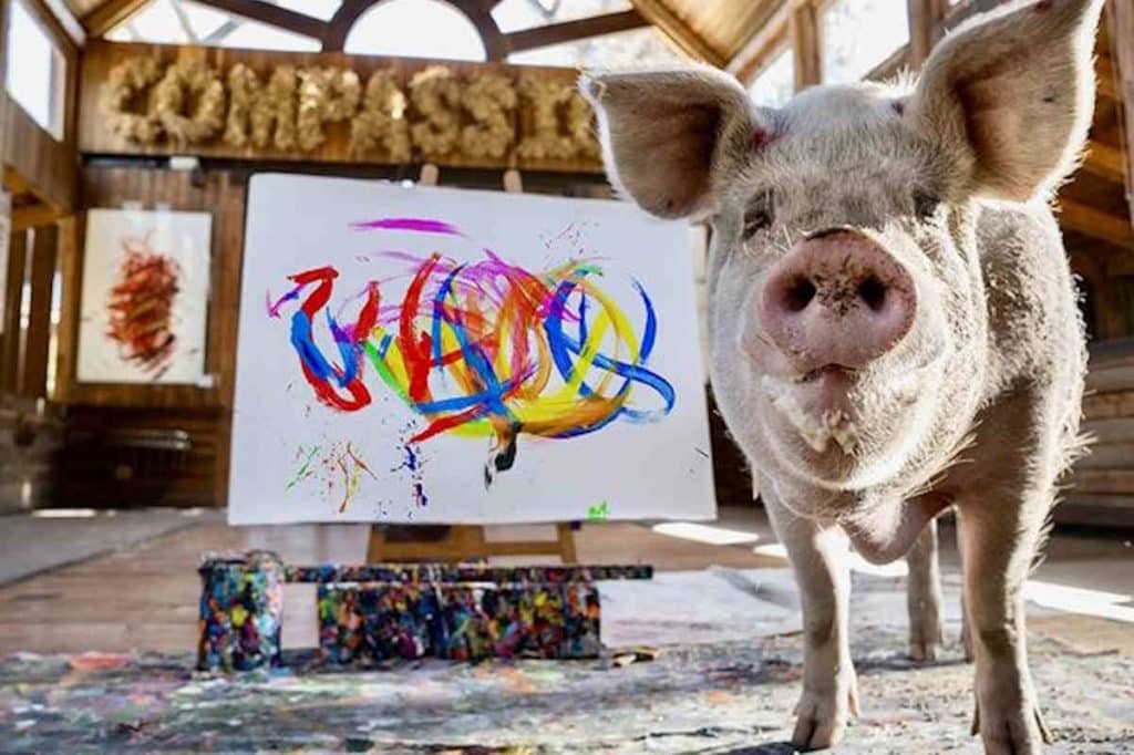 pigcasso quadro.jpg