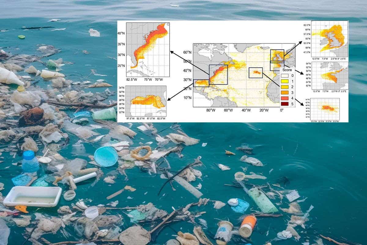 Queste sono le zone dell’Oceano dove si creano isole di plastica, mappate per la prima volta le garb patch dell’Atlantico 1 plastica oceano.jpg