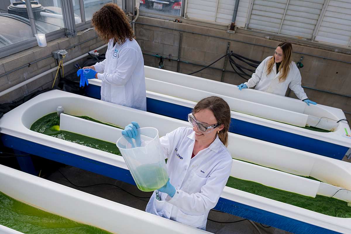 Microplastiche addio! Questi scienziati hanno creato polimeri vegetali che scompaiono completamente in 7 mesi 1 plastica biodeg.jpg