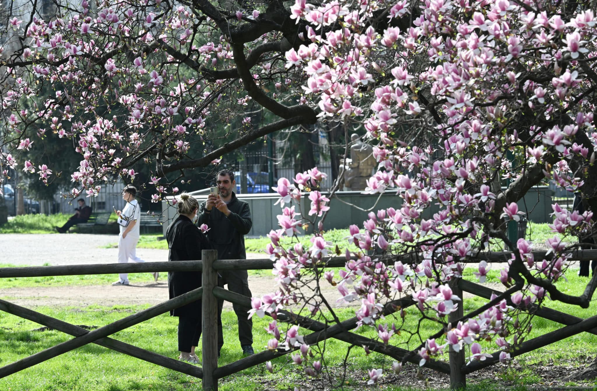L’equinozio di primavera arriva un giorno prima con temperature sopra la media: cosa aspettarci 1 primavera scaled.jpg