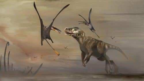 pterosauro 500x282.jpg