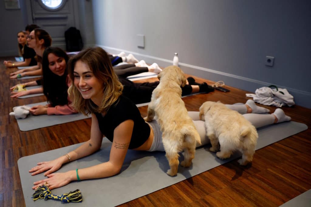 puppy yoga cover.jpg