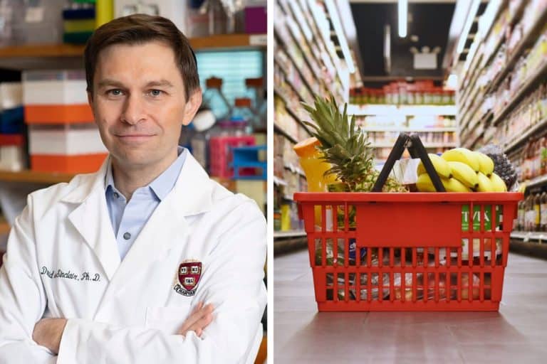 Sono uno scienziato di Harvard e ti svelo 5 regole per ritardare l’invecchiamento e vivere più a lungo 10 scienziato harvard regole longevita.jpg