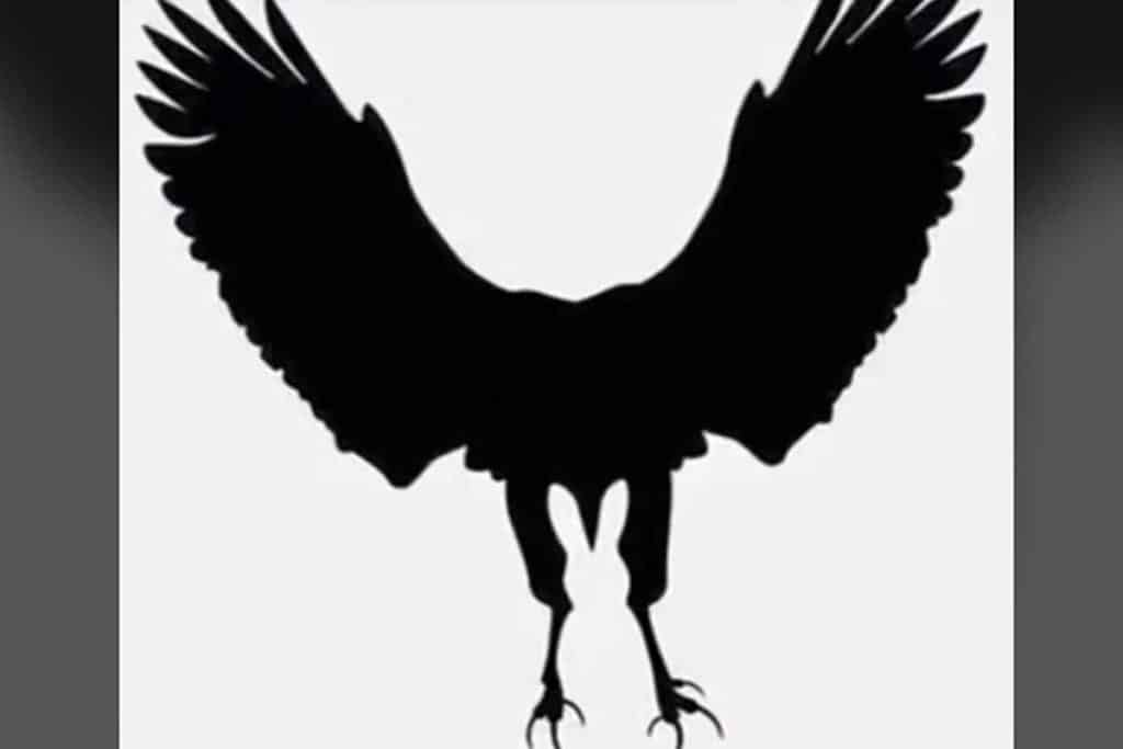 test 1.jpg