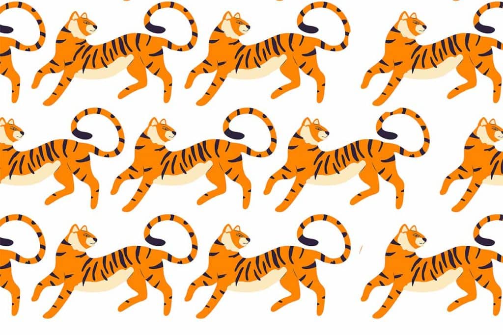 test tigre.jpg