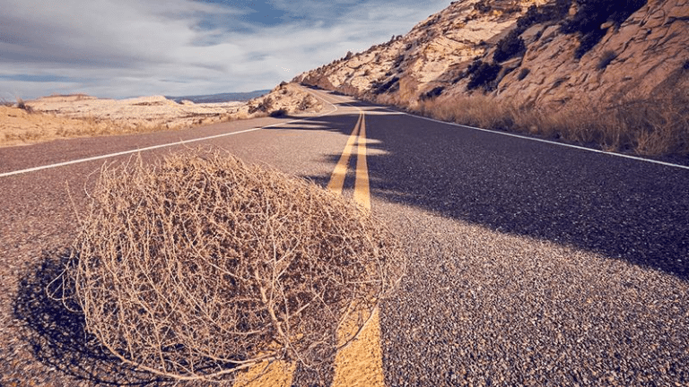 tumbleweed m.png