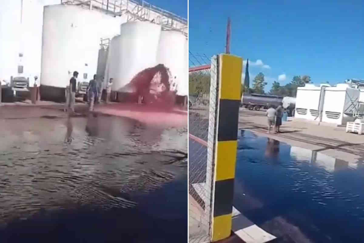 Fiume di vino invade una cantina dell’Argentina: 15mila i litri fuoriusciti da un serbatoio 1 vino rosso argentina.jpg