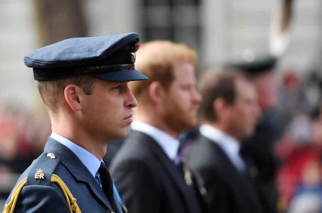 william harry scaled.jpg