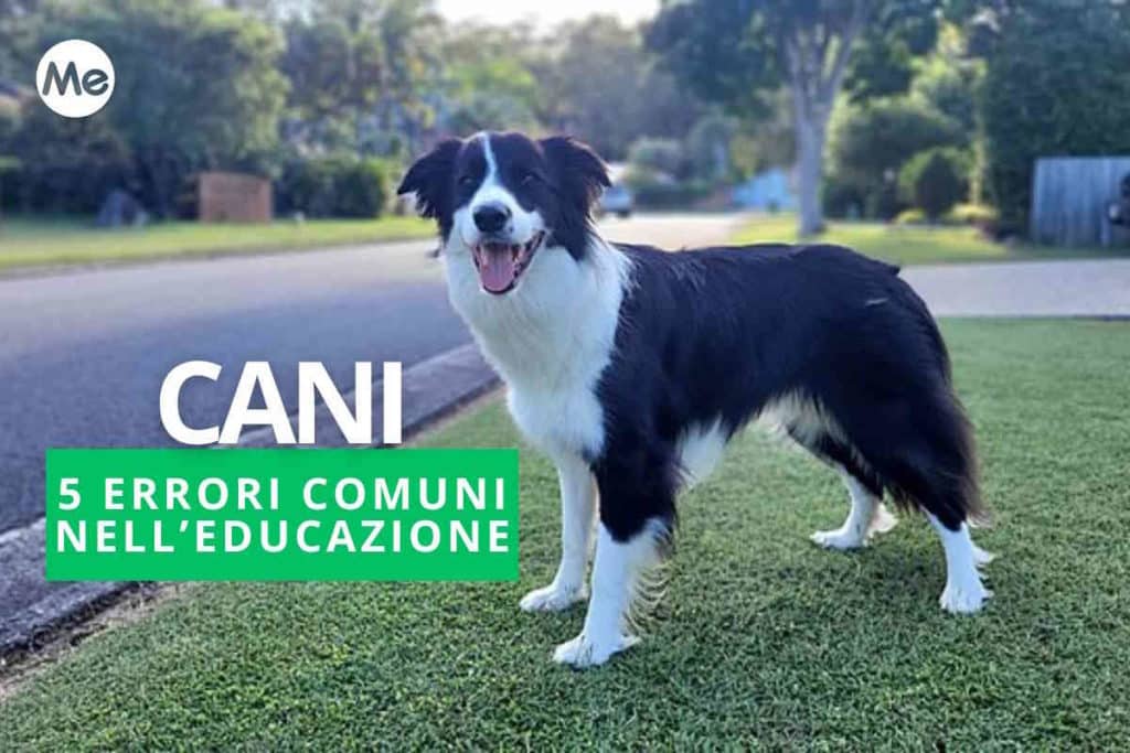 Copia di Cover Redazione.jpg
