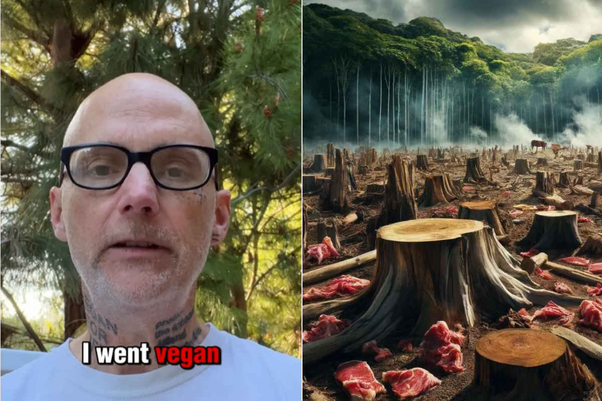 Diventare vegani 1.jpg