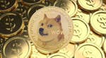 Dogecoin Doge Cryptocurrency Means Of Pa 6.jpeg