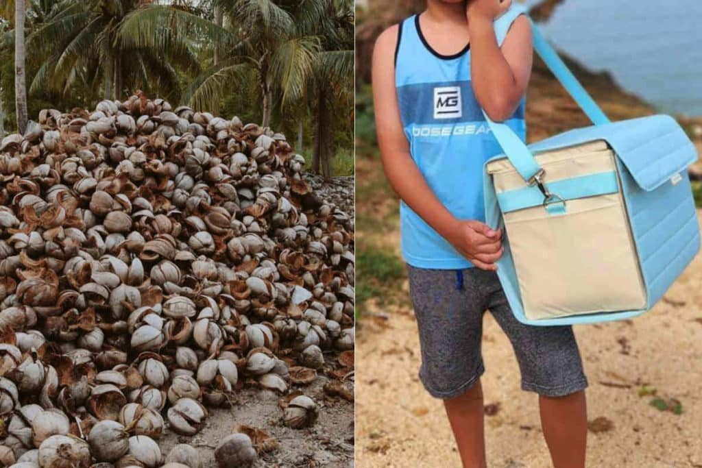 Frigorifero cocco.jpg