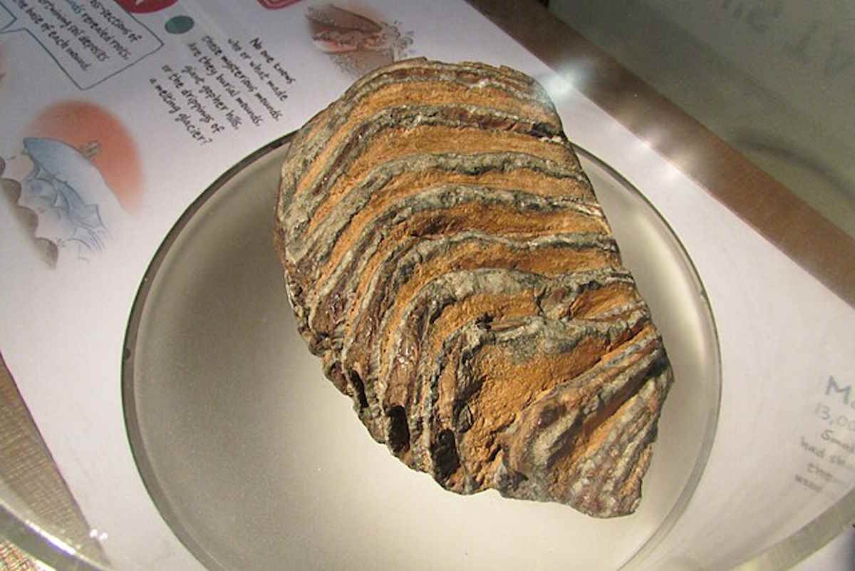 Mammoth 6667.jpg