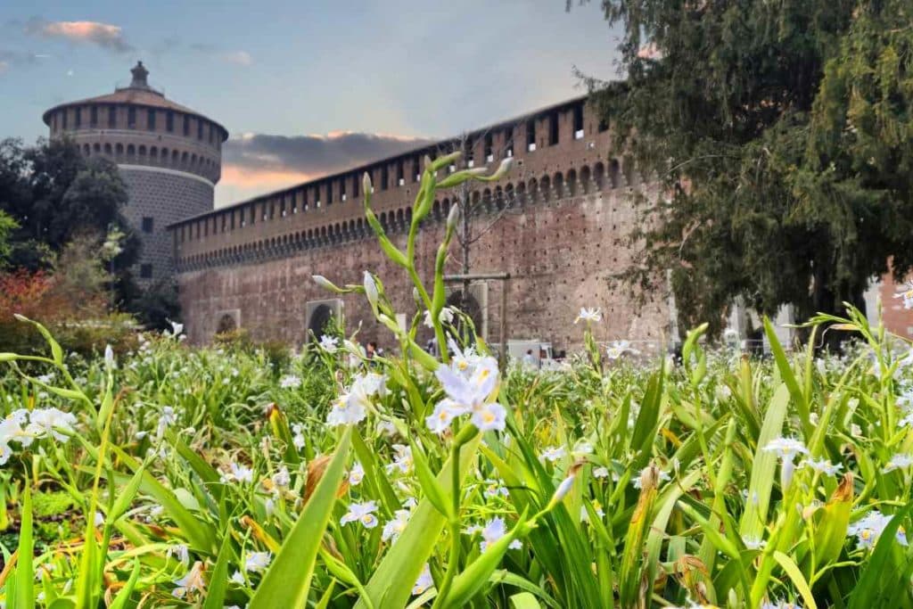 Milano erba.jpg