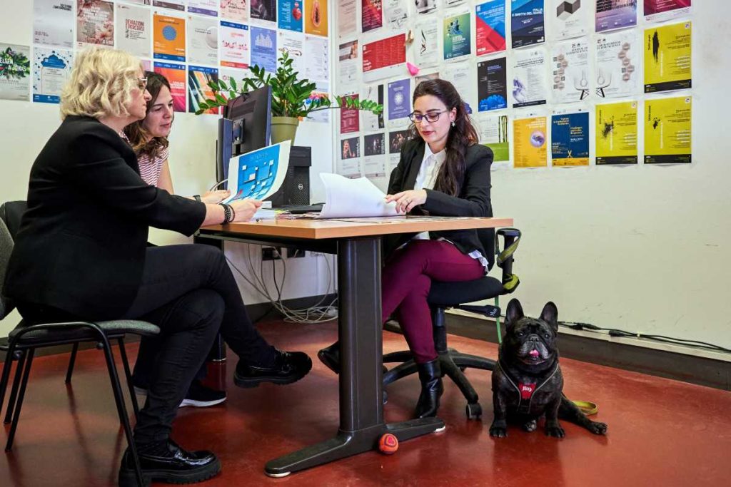 Pet Unibicocca.jpg