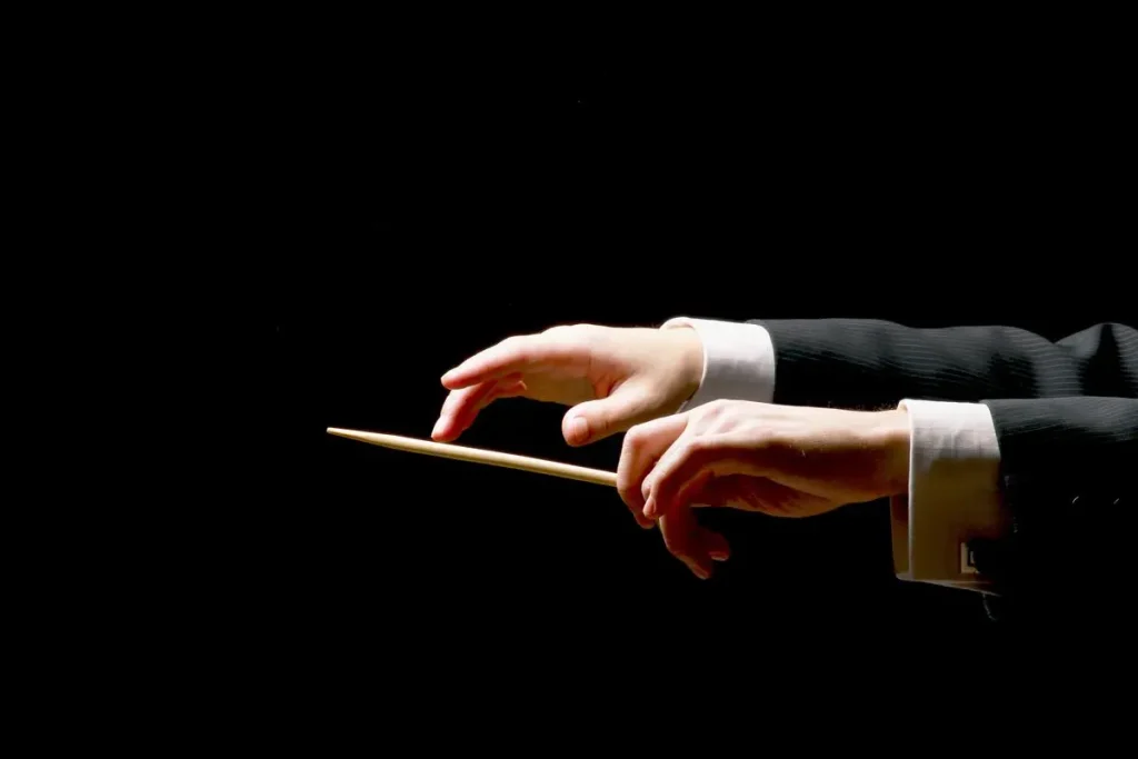 SH mani bacchetta maestro direttore orchestra 2.jpg