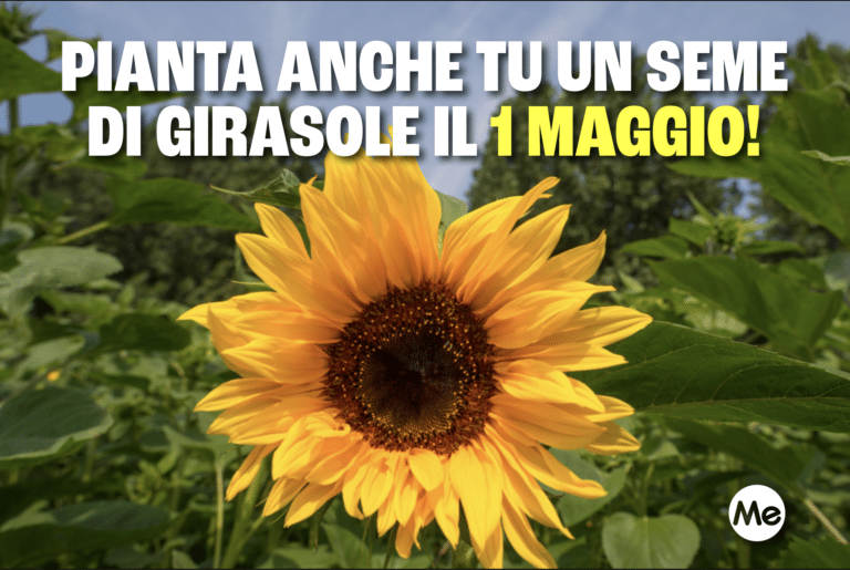 Screenshot 2024 04 29 alle 10.16.04.png