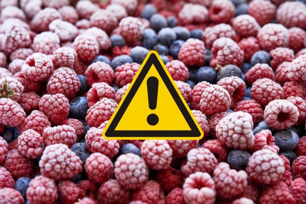 allerta alimentare frutti di bosco.jpg