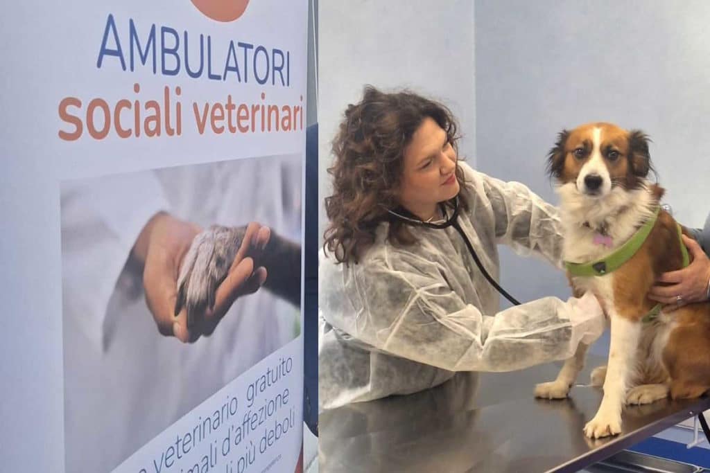 ambulatorio sociale torino.jpg