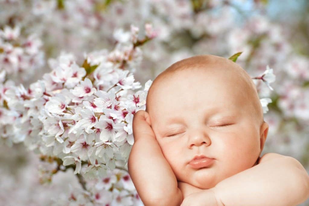 aprile dolce dormire.jpg
