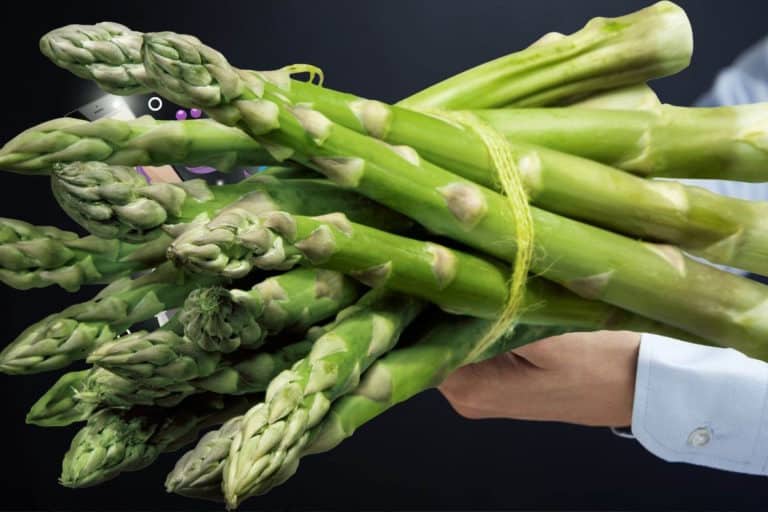 asparagi odore pipi.jpg