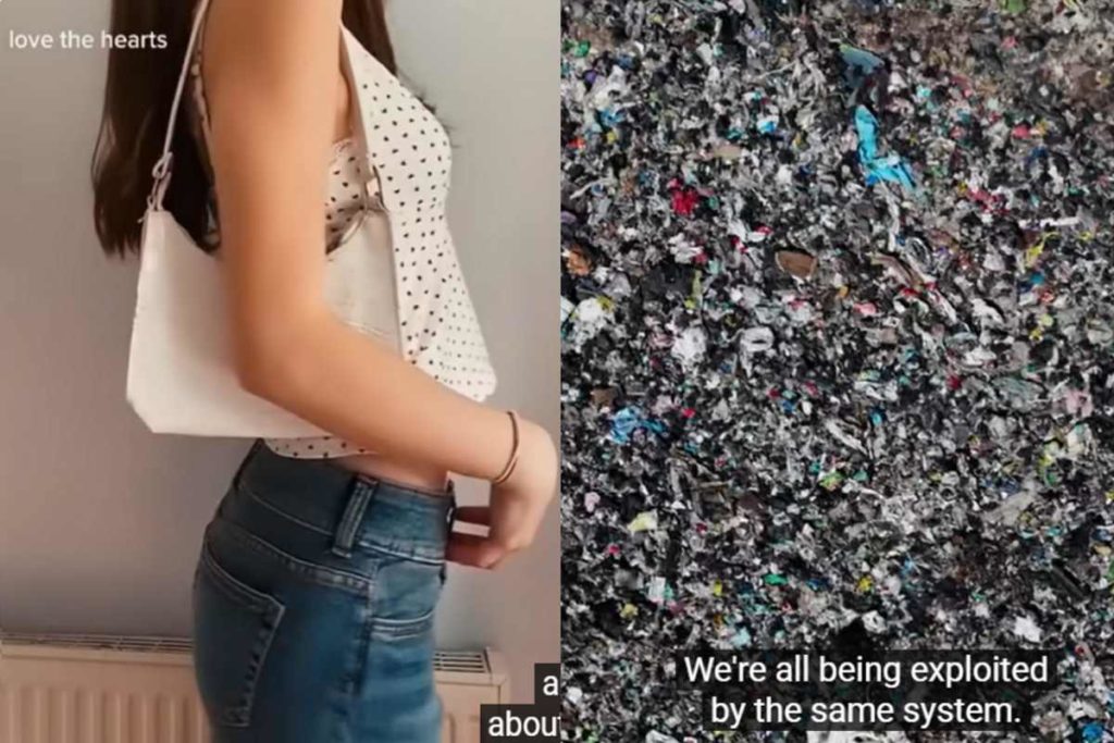 brandy docu.jpg
