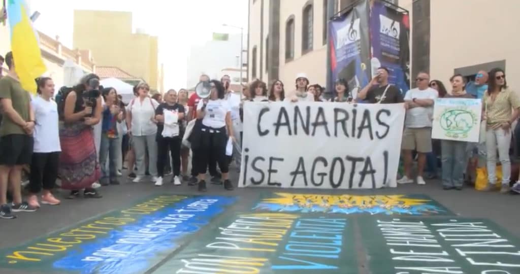 canarie.jpg