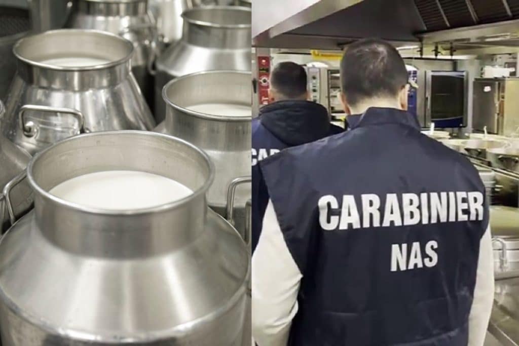 carabinieri nas.jpg