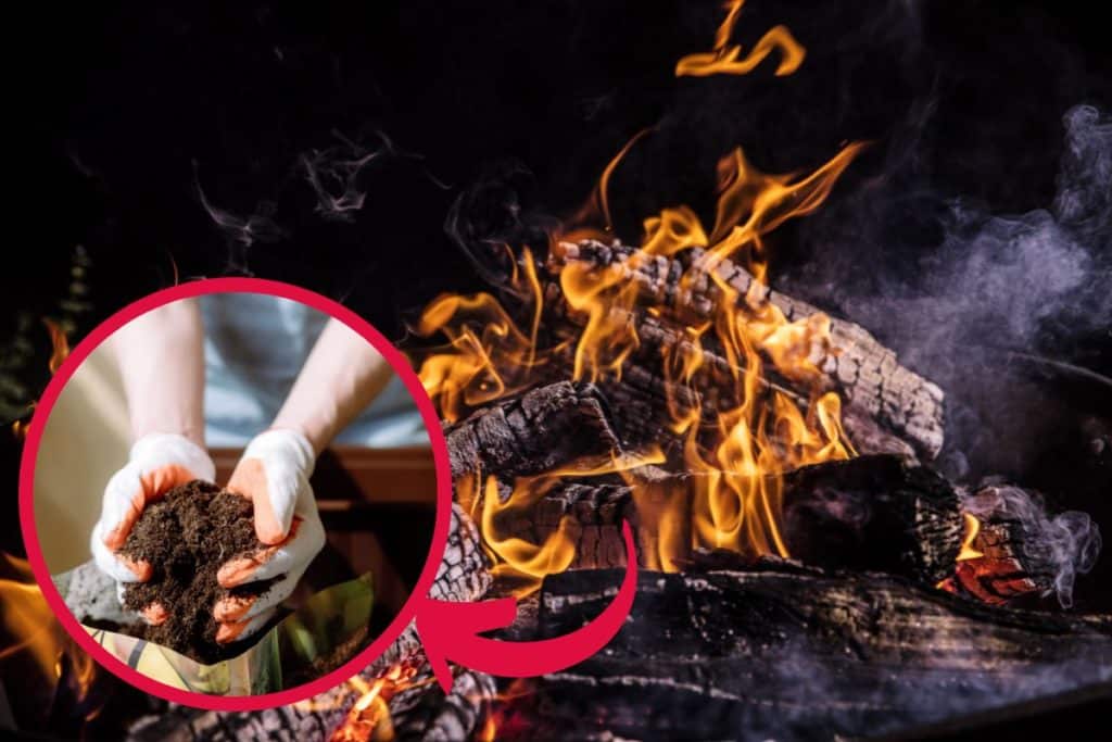 cenere nel compost.jpg